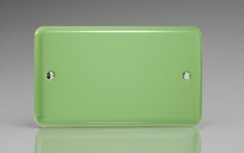 Varilight Lily Beryl Green Double Blank Plate