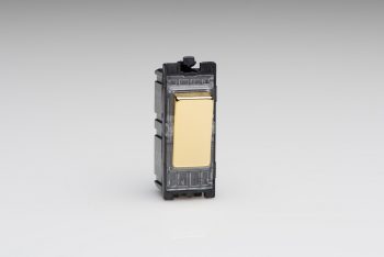 Varilight Polished Brass 20A 1-Way Double Pole Switch Module